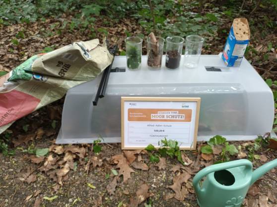 Die Eulenklasse gewinnt bundesweiten Schulwettbewerb