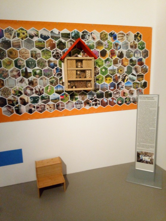 Die Eulenklasse ist jetzt auch Museumaussteller!