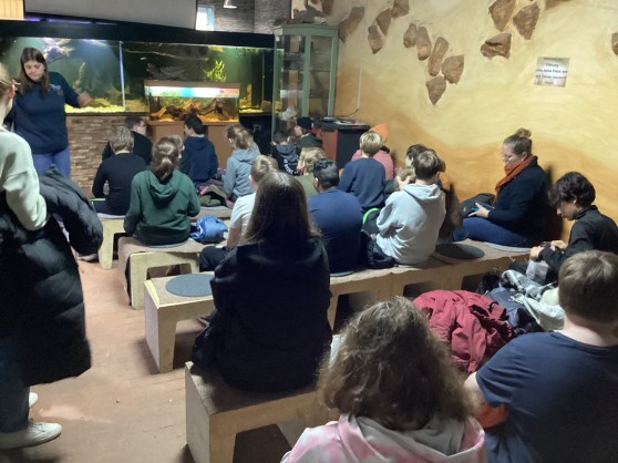 Schlangen hautnah erleben und Echsen bewundern