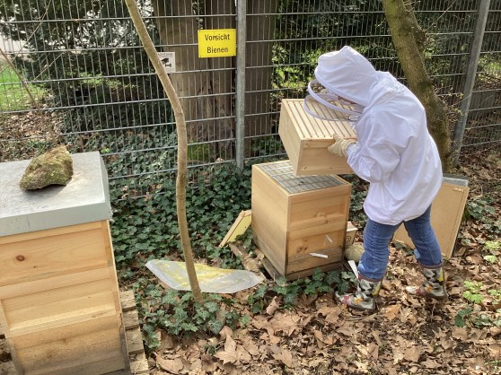 Honigräume aufgesetzt
