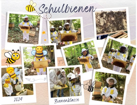 Unterricht im Bienengarten