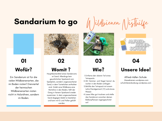 Wir bauen ein Sandarium – to go
