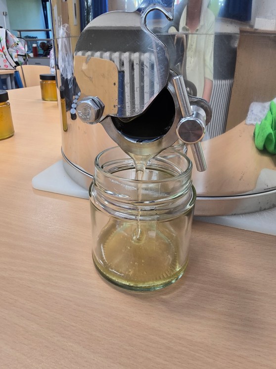 Neues aus der Schulimkerei