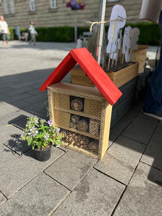 Die Alfred-Adler-Schule auf dem Umweltmarkt