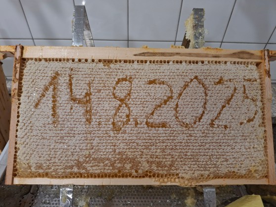 Sommerferien-Honigernte!