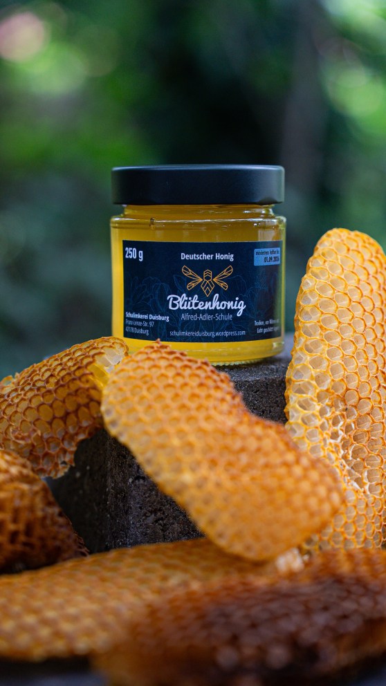 Neues aus der Schulimkerei