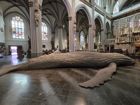 Ein Wal im Dom