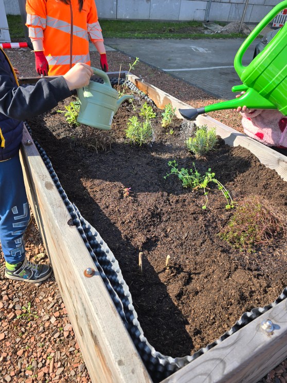Ein Hochbeet für die Wildbienen