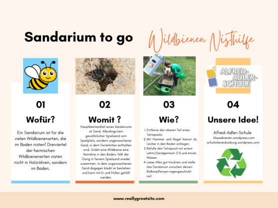 Sandarium to go – Eine Nisthilfe für Wildbienen ganz leicht selber machen