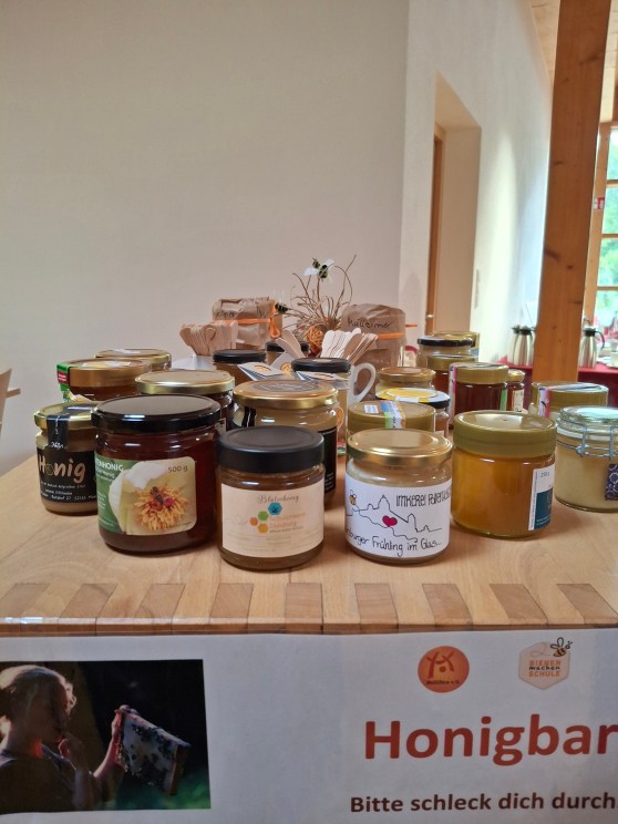Bienen als Impuls für Bildung und Pädagogik
