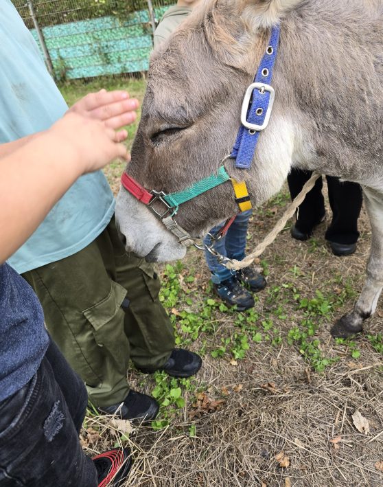 Unsere kleine Farm III – Lernen mit Esel Fiete
