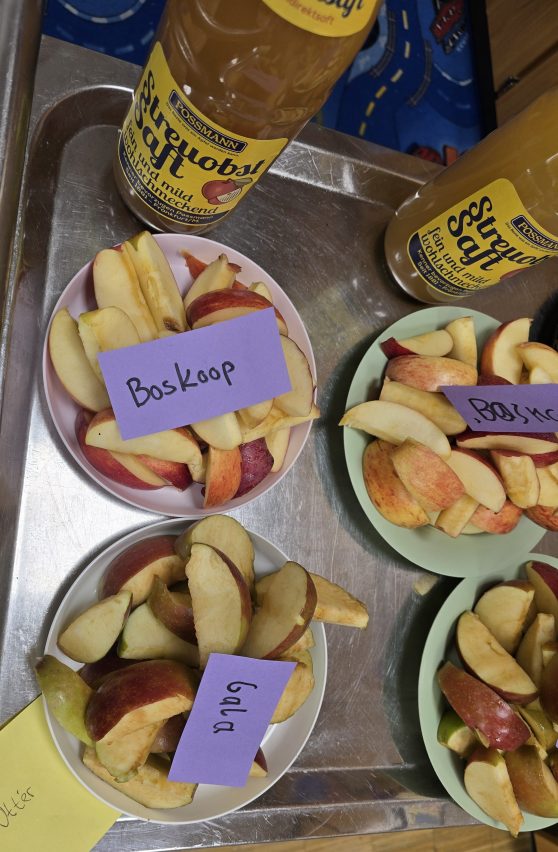 Apfeltag in der Grundschule
